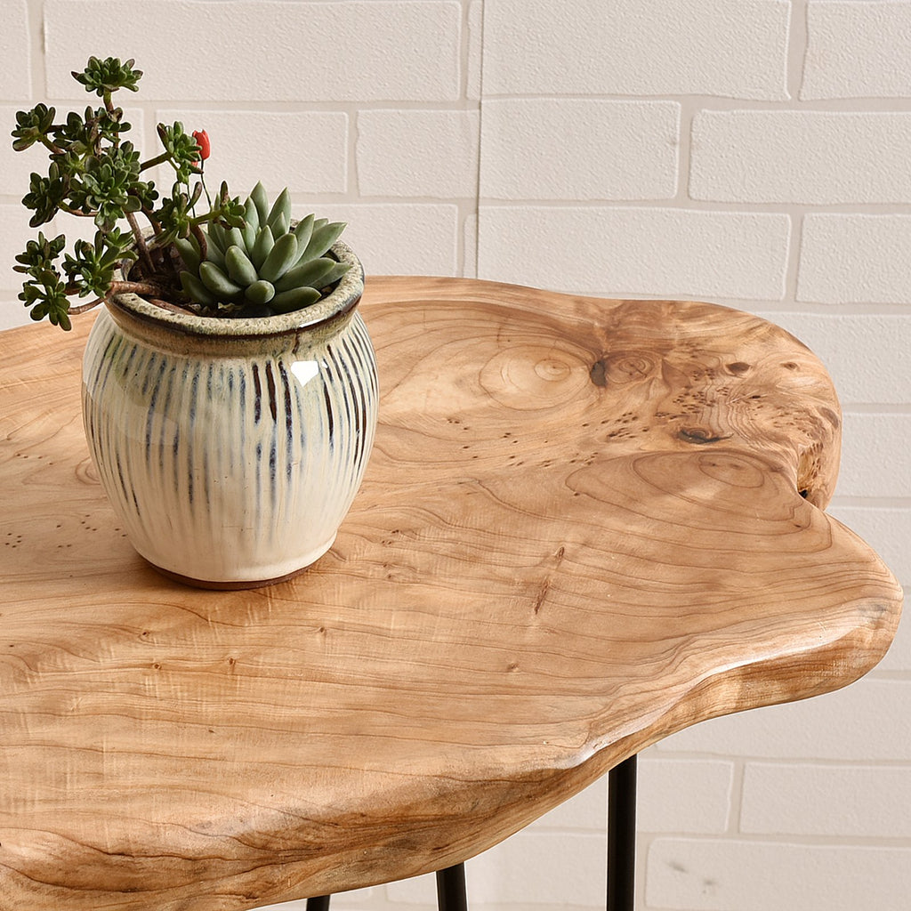 Live Edge Cedar End Table with Hairpin Legs, 20.5" H