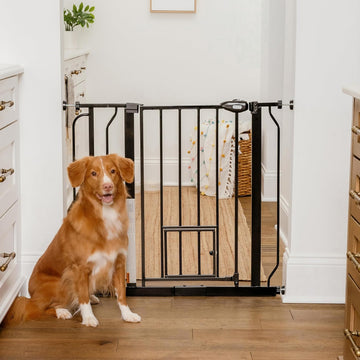 29-36.5" Extra Wide Dog Gate with Small Pet Door, Walk-Through Pressure Mounted Metal Indoor Pet Safety Gate, Black