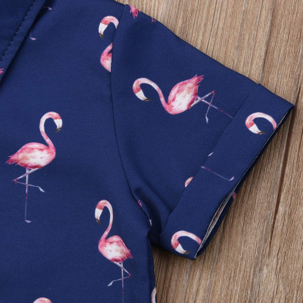 Toddler Baby Boy Flamingo Short Sleeve Button Down Shirt & Casual Shorts Set Summer Outfits Clothes