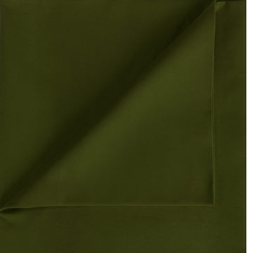 10 oz Duck Canvas ~ Single Fill ~ 100% Cotton ~ 60" Width by 2 Yard ~ Olive