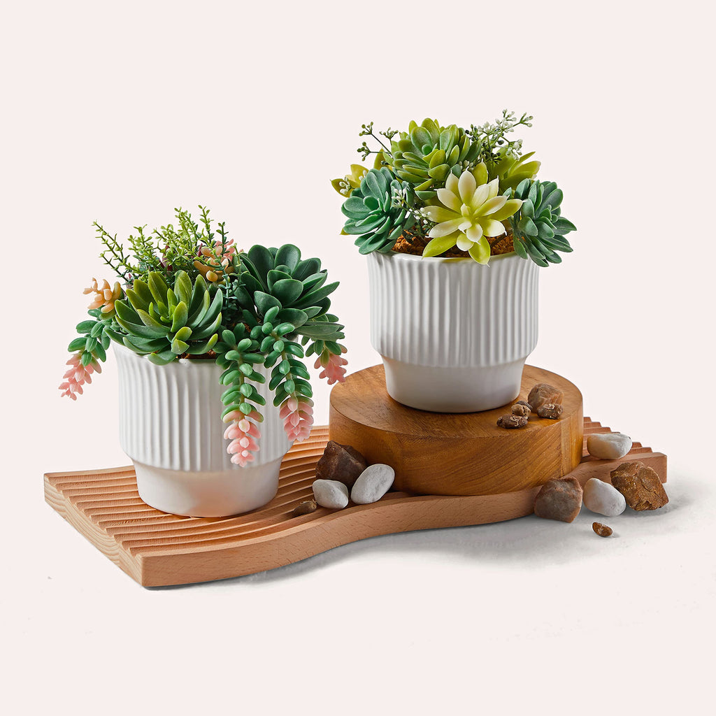 Artificial Succulent Plants, Faux Succulents Fake Plants Set of 2
