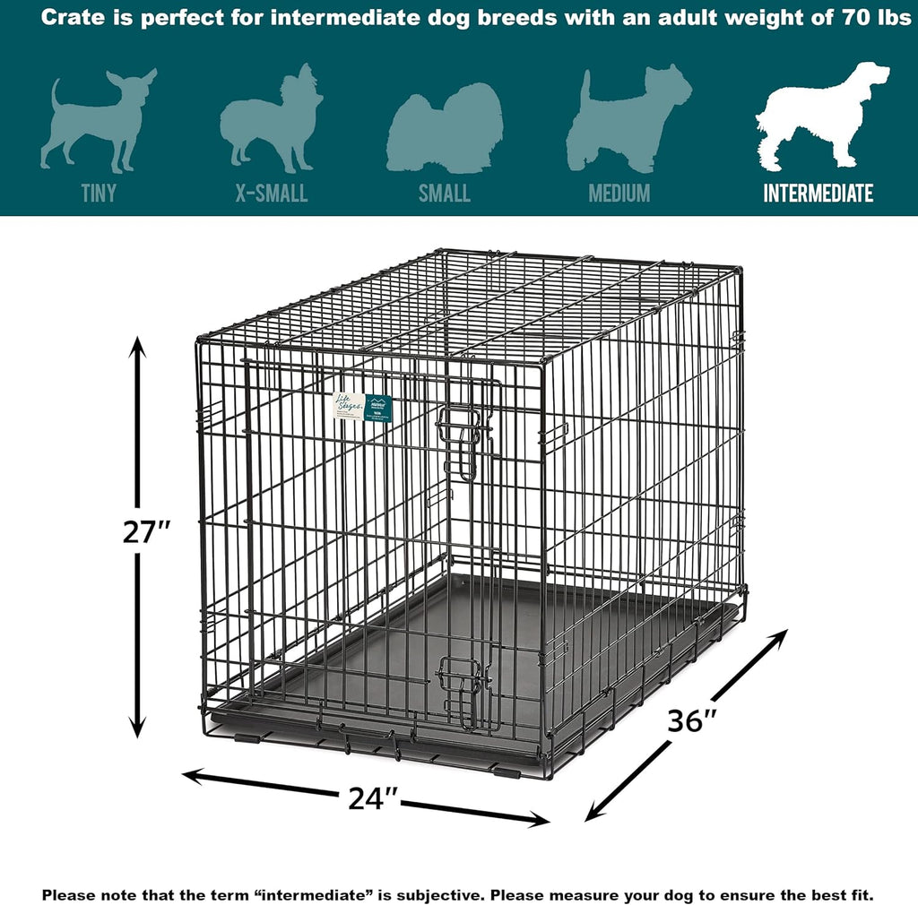 Intermediate LifeStages Single Door 36-Inch Folding Dog Crate, Enhanced Security, Includes Leak-Proof Pan