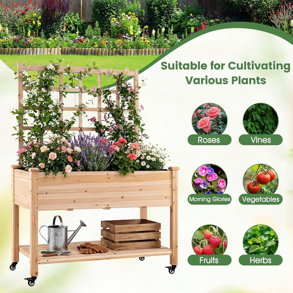 65'' Wooden Raised Garden Bed w/Trellis on Wheels, Mobile Elevated Planter Box w/Legs, Liner & Drainage Holes for