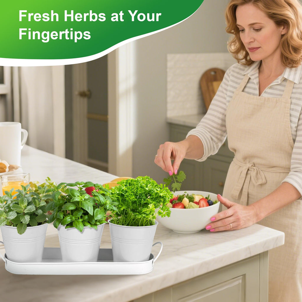 Herb Garden Planter Indoor Kit - 6 Metal Pots with 2 Trays for Windowsill & Kitchen Counter - Modern Decorative