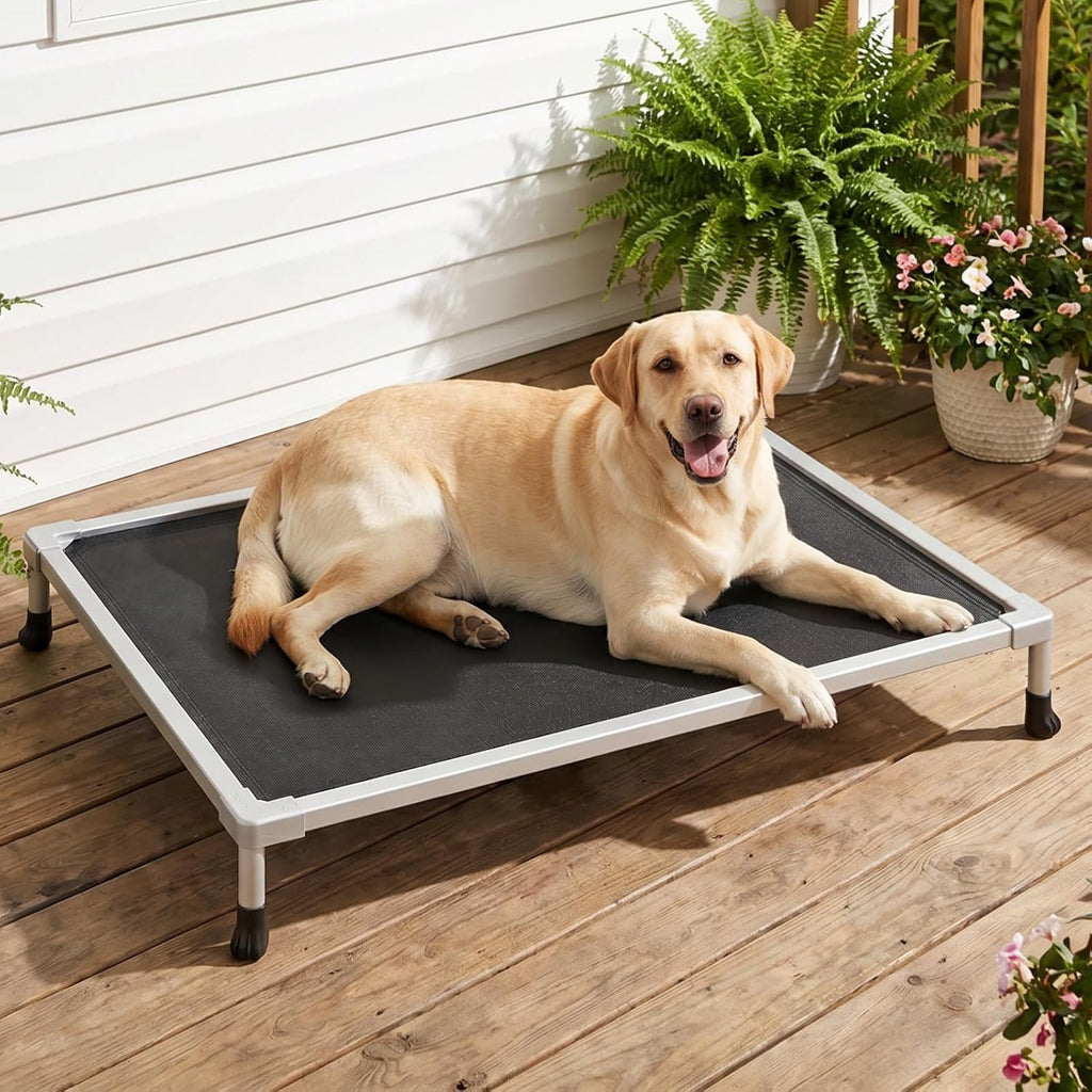 Chew Proof Elevated Dog Bed, Silver Aluminum Dog Cot, Pre-Assembled