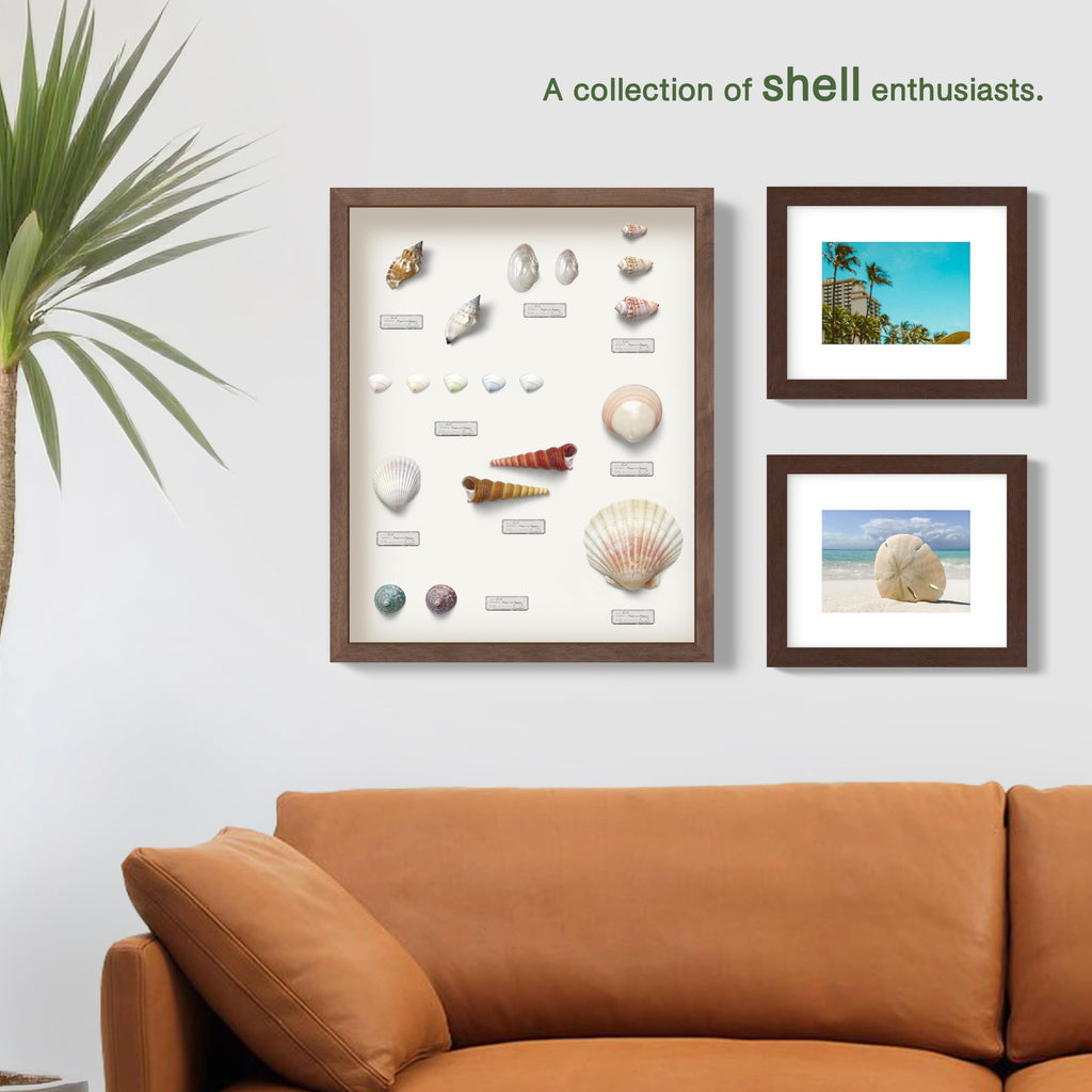 12" x 18" Golden Oak Wooden Shadow Box Frame - Soft Felt Back, Tempered Glass, and Included Elegant White Ball Push