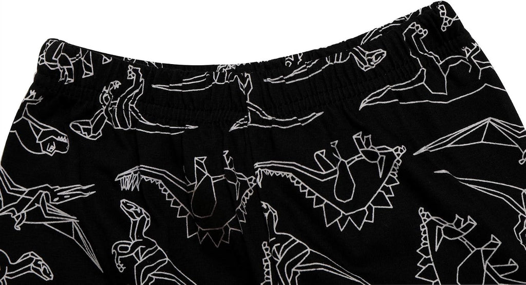 Boys Pajamas Set Long Toddler Pjs Little Kids Dinosaur Sleepwear
