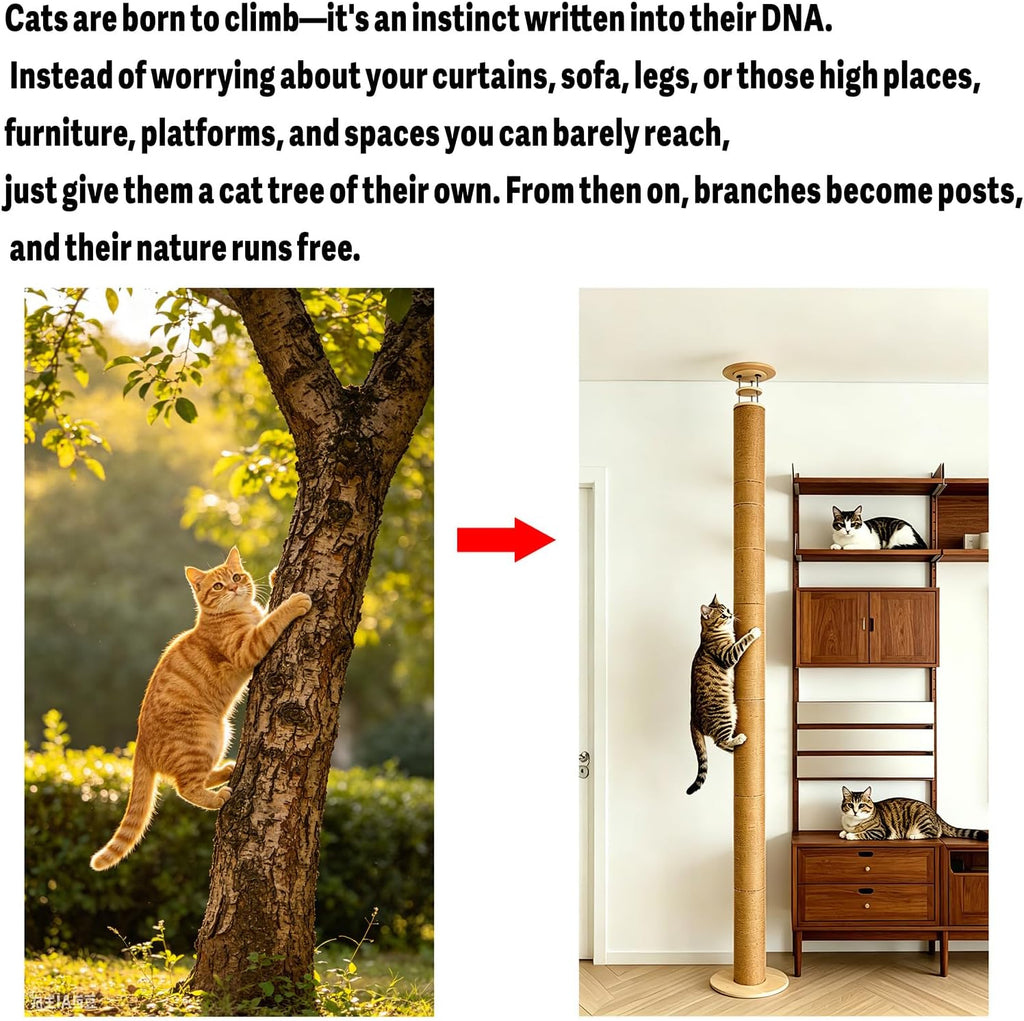Floor to Ceiling Cat Scratching Post Tree, Adjustable Height 40in-120in Tall PVC Cat Climbing Pole, Sturdy Cat