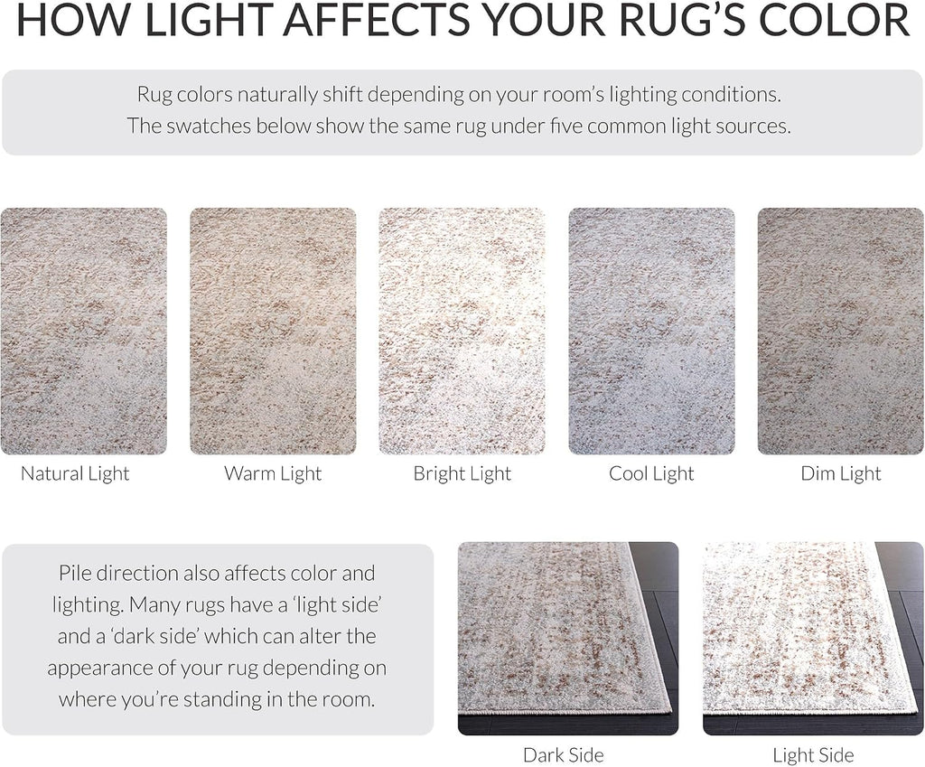 Evoke Area Rug 10x14, X-Large Ivory & Taupe EVK256E