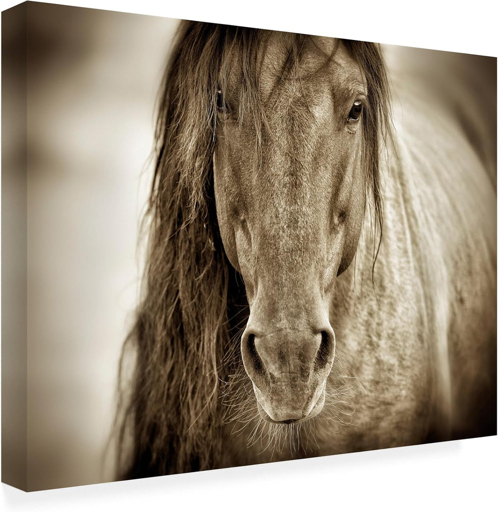 Wrapped Canvas Wall Art - Lisa Dearing 'Mustang Sally Horse' Wall Art , or Office Décor - 18x24