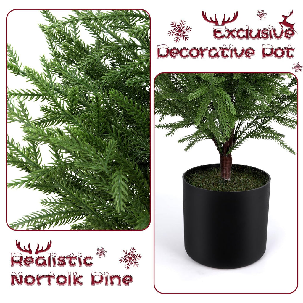 PreLit 3FT Norfolk Pine Christmas Tree - Realistic Potted Artificial Tree with 50 LED Lights & 8-Mode, Battery
