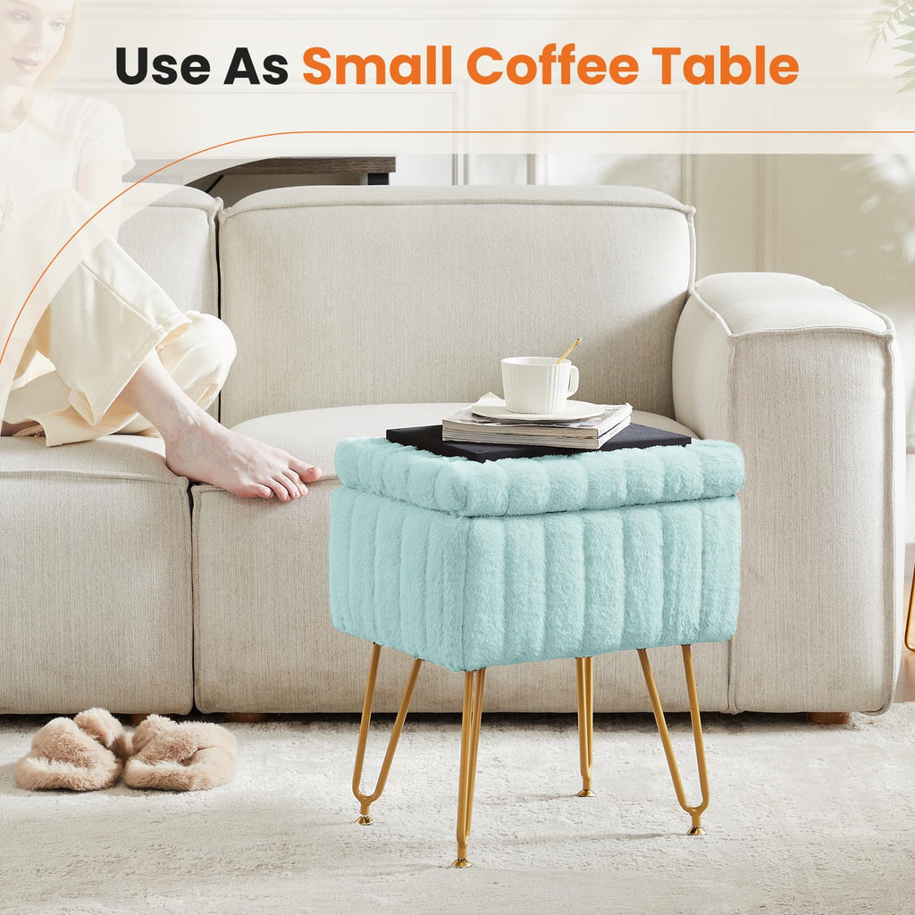 Vanity Stool Chair, Ottoman with Storage