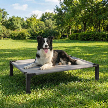 Elevated Dog Bed Raised Cooling Dog Cot for Large Dogs, Portable Indoor & Outdoor Pet Bed with No-Slip Feets