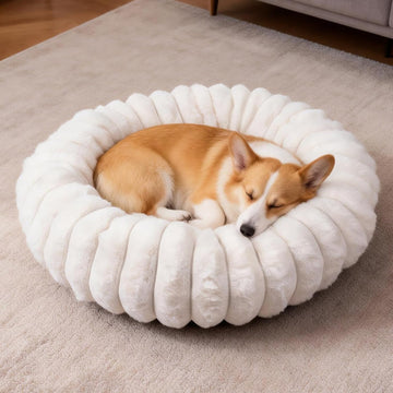 Donut Small Medium Dog Bed Washable Kitty & Puppy Bed, White