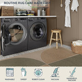 Lahome Modern Rainbow Easy Jute Rug, Washable 5x7 Area Rugs for Living Room Black Farmhouse Dining Room Rug