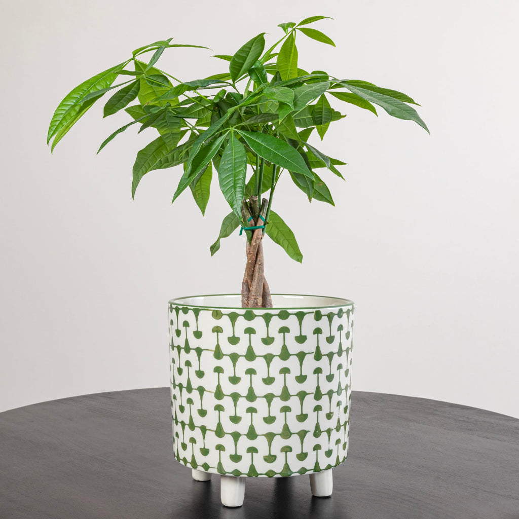 Footed Stoneware Planter with Abstract Print, Green and White