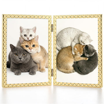 5x7 Double Picture Frame Gold with HD-Tempered Glass| 5 x 7 Hinged Metal Photo Frame with Velvet Backing for Tabletop