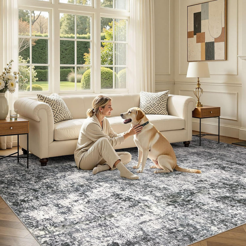 Area Rug Living Room Rugs - 10x14 Abstract Large Soft Indoor Washable Rug Neutral Modern Low Pile Ca