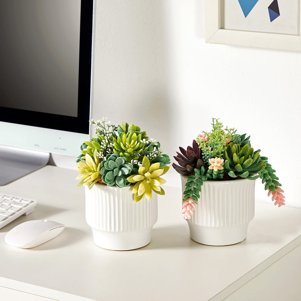 Artificial Succulent Plants, Faux Succulents Fake Plants Set of 2