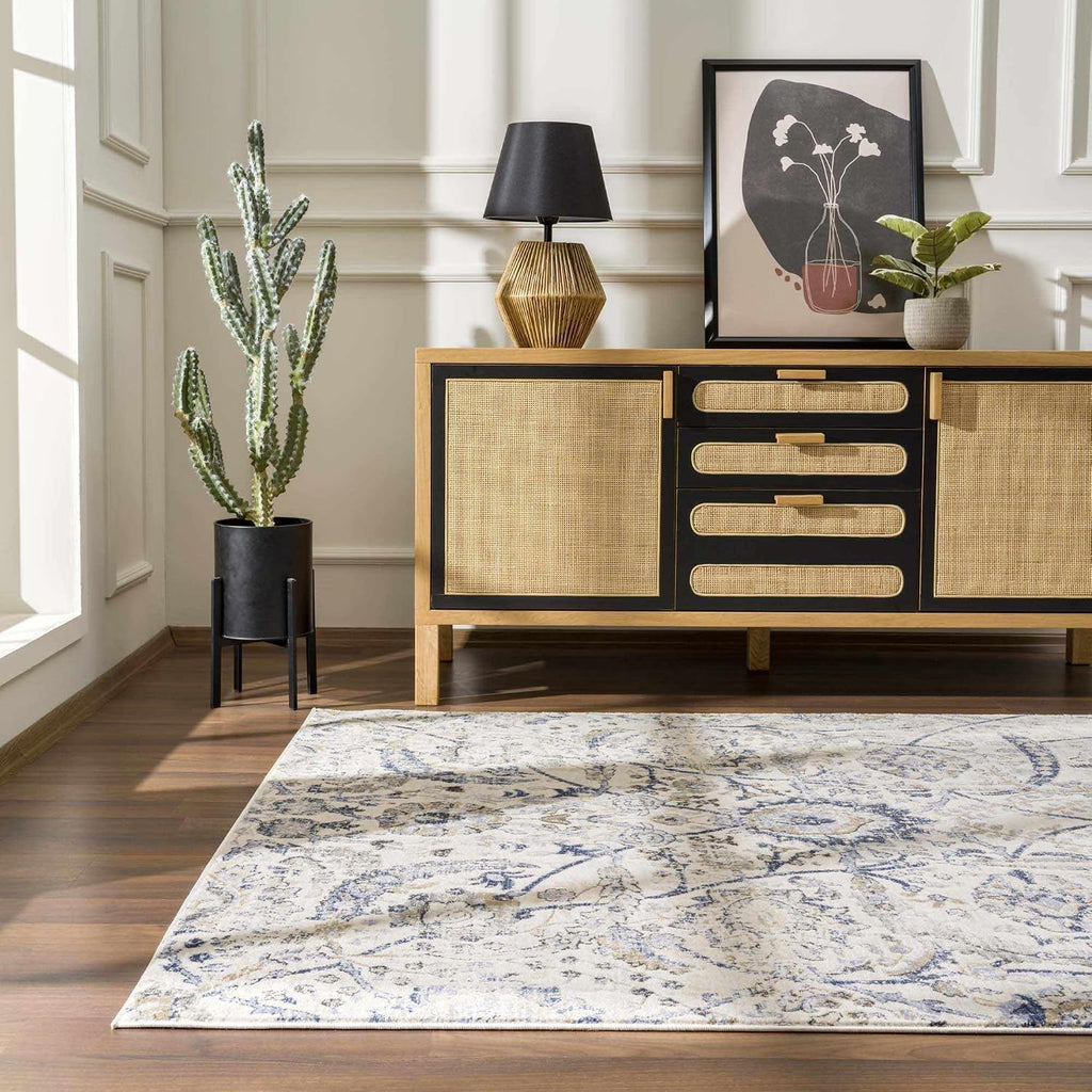 Obsidian Boho Vintage Traditional Damask Area Rug - Farmhouse Traditional Floral Medallion Carpet - Grey, Beige