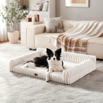 Orthopedic Dog Bed Large 35x25x9.5" Washable Cover Cream