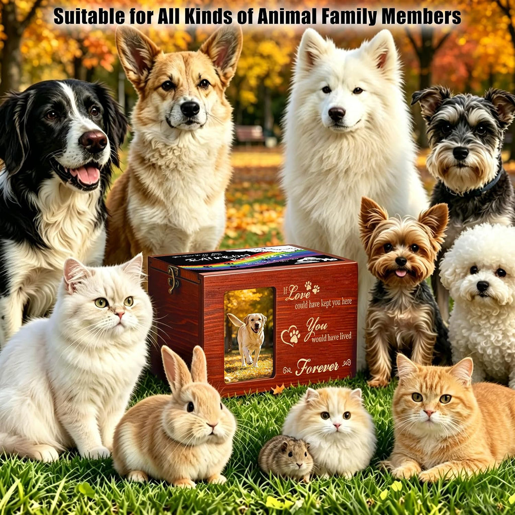 Pet Memorial Urns for Dogs or Cats Ashes with Photo Frame