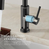 Kitchen Faucets with Pull Down Sprayer, Black Classic Single Handle Stainless Steel High Arc Faucet for Kitchen Sink