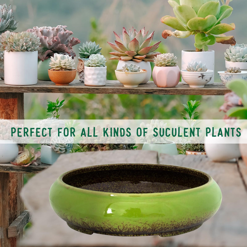 Succulent Pots, 11.5 Inch Ceramic Bonsai Pots with Drainage