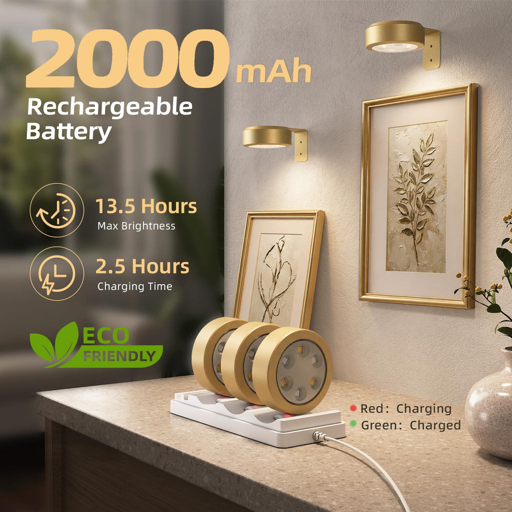 Picture Lights for Wall, Rechargeable Battery Magnetic Poster Lights with 3 Color Temps & 12 RGB, Remote Dimmable