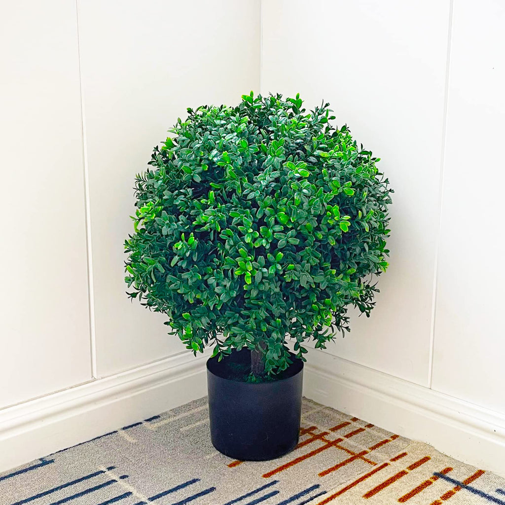 21.6" Tall Artificial Boxwood Topiary Ball Tree Set of 2