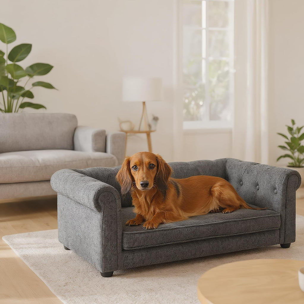 Elevated Dog Sofa with Backrest and Armrests, Button Tufted Dog Couch Bed with Soft Cushion for Medium Dogs, Stylish