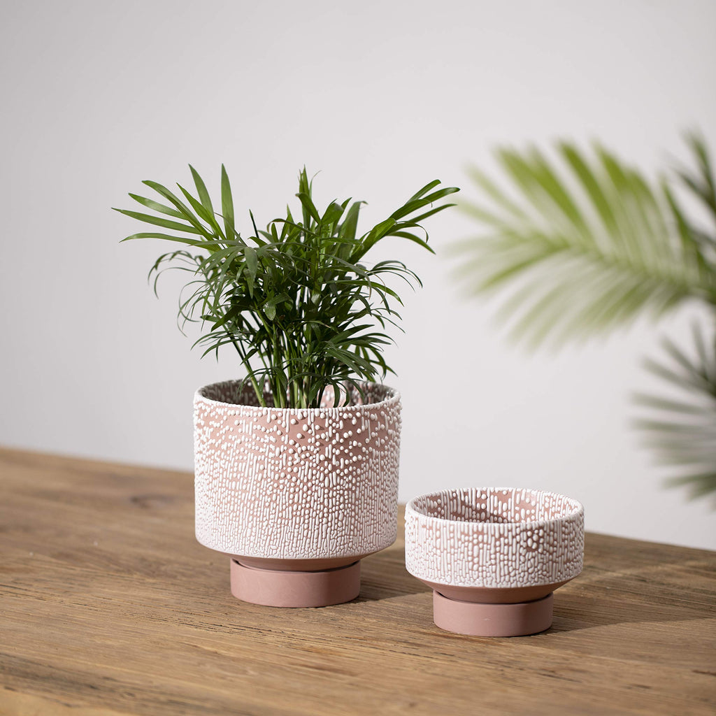 Planter Ceramic Flower Pot for Indoor Plants | 5.5 inch + 4.9 inch Plant Pot with Saucer and Drainage Hole for Aloe