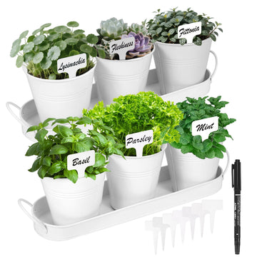 Herb Garden Planter Indoor Kit - 6 Metal Pots with 2 Trays for Windowsill & Kitchen Counter - Modern Decorative