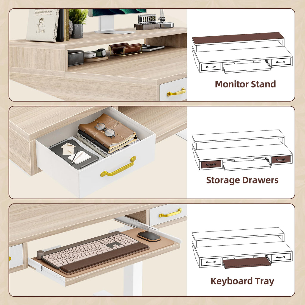 Standing Desk with Two Drawers, Stand Up Standing Desk Adjustable Height, Electric Sit Stand Table with Storage Shelf