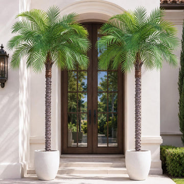 6ft Artificial Phoenix Palm Tree, Faux Coconut Silk Tropical Fake Palm Plant Outdoor Home Office Patio Bathroom Pool - Set of 2