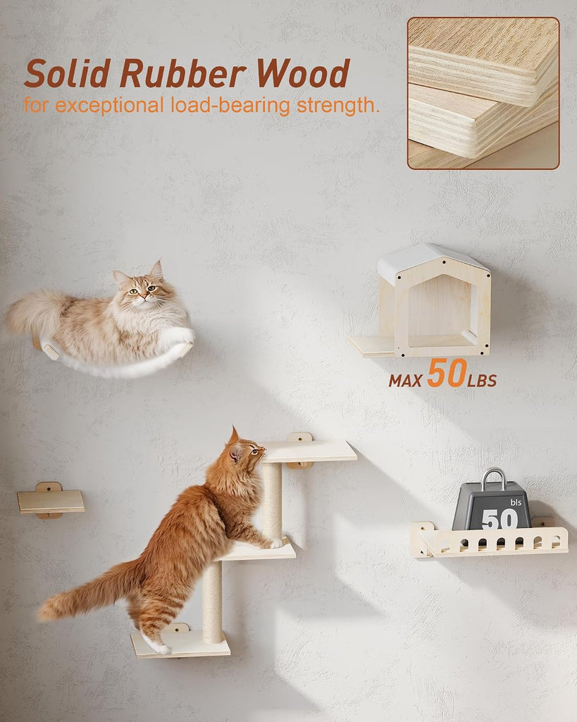 5-in-1 Cat Wall Shelves for Large Cat, Large Hammock, Wide Perch