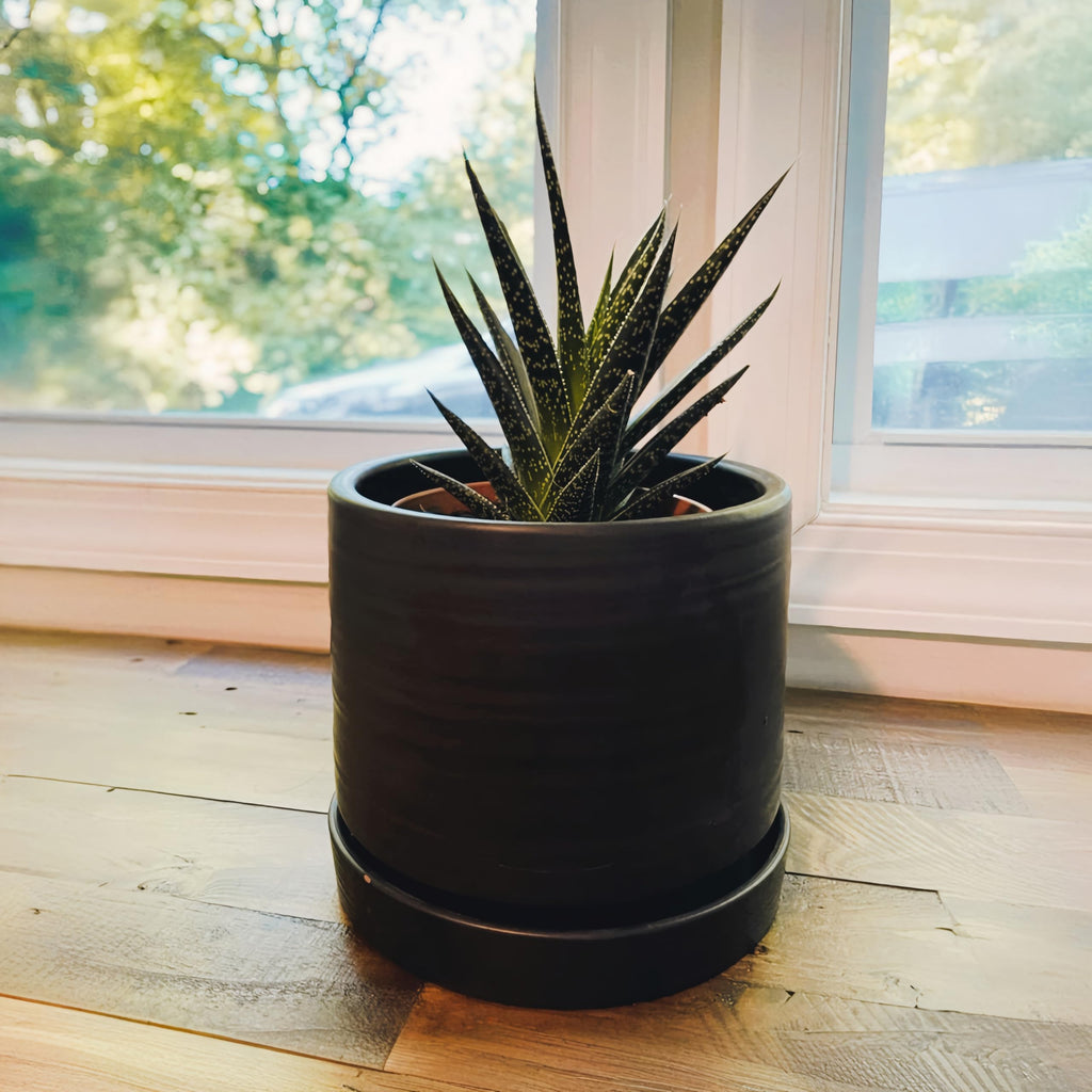 6 Inch Plant Pots, Ceramic Planter Pot with Drainage Hole & Saucer, Indoor/Outdoor Cylinder Round Planter Pot, Matte