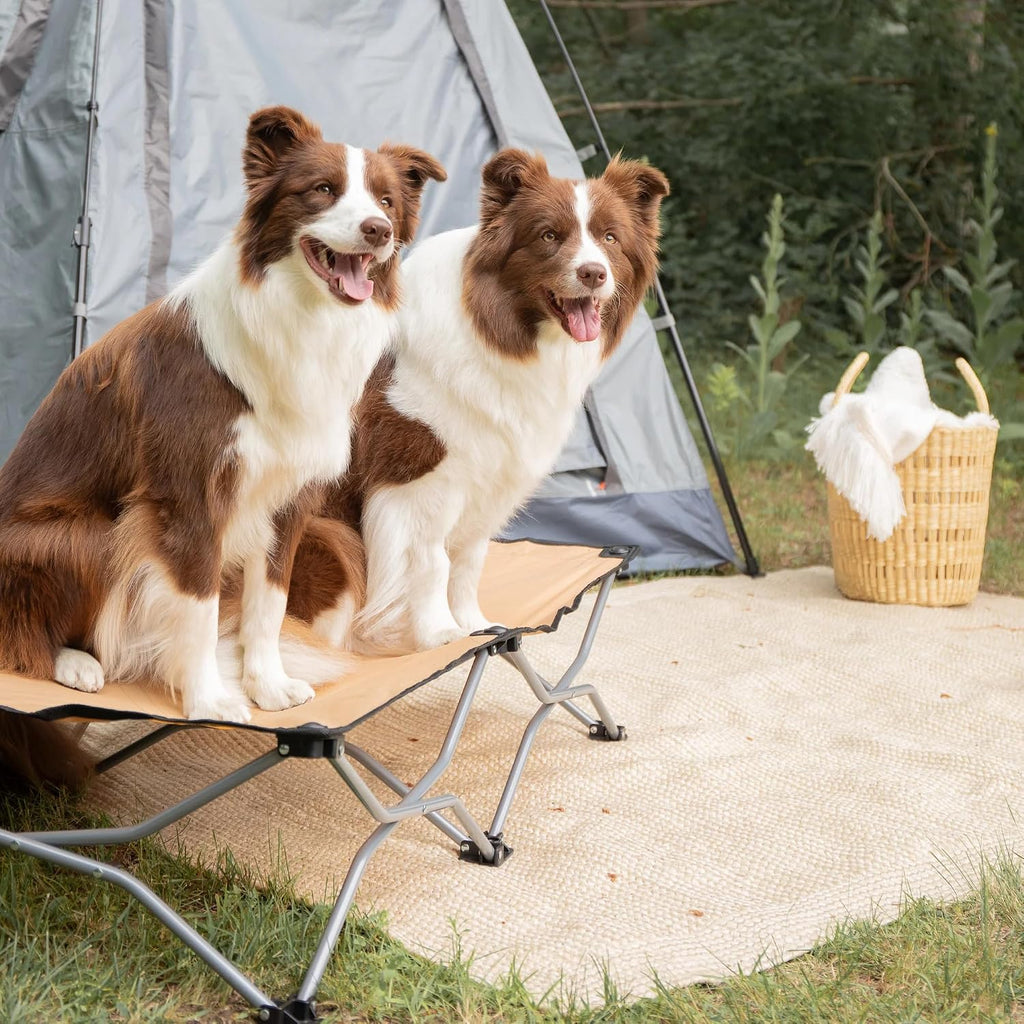 Elevated Dog Bed, Folding Dog Cot for Large Dogs up to 95 lbs, Portable Raised Pet Bed for Indoor & Outdoor Use