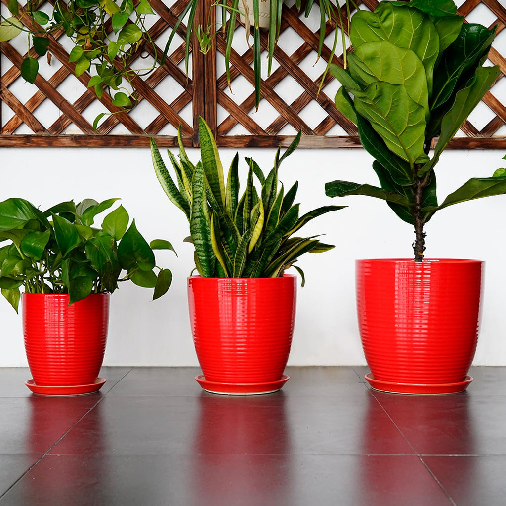 Ceramic Pot for Plants 12 Inch - Plant Pot Indoor with Drainage Hole and Saucer Round Large Planter for Outdoor