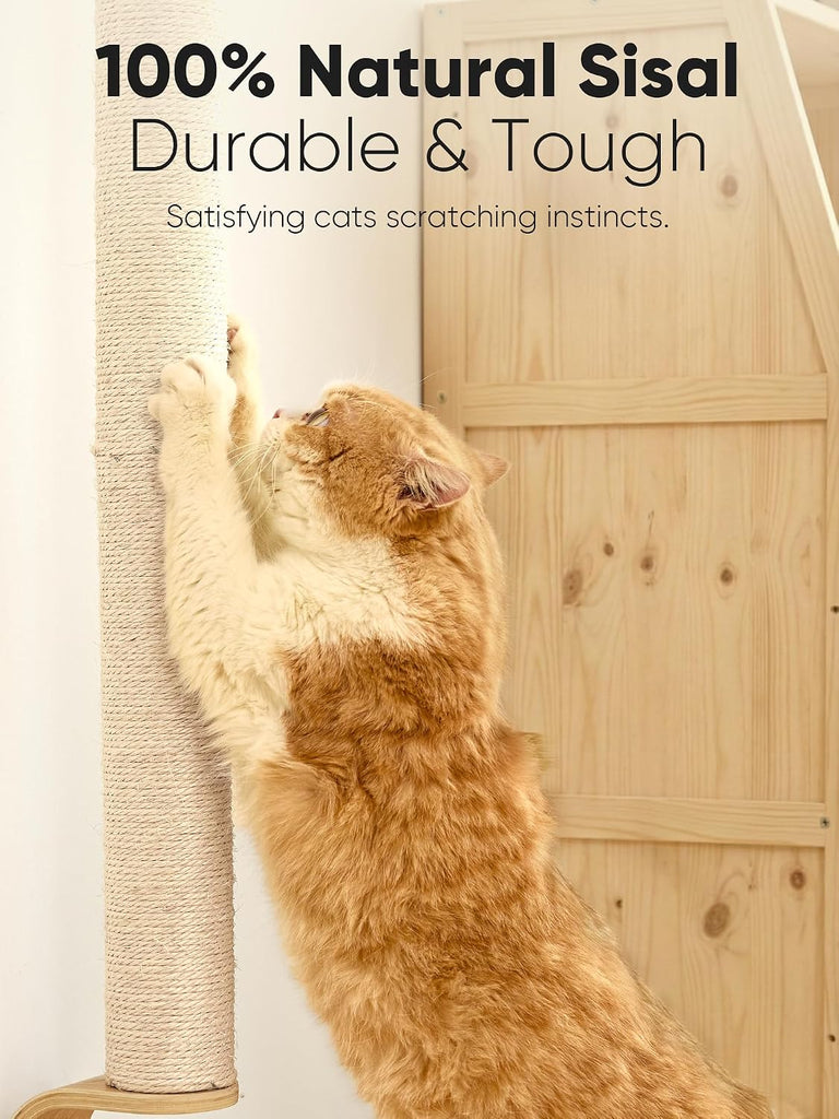 Cat Wall Scratcher, 60" Tall Kitten Scratching Post