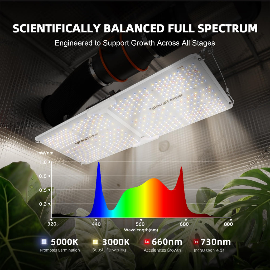 2x4 200W Complete Grow Tent Kit with GGS Auto Control
