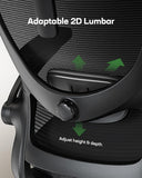 Ergonomic Office Chair: Office Desk Chair with High Back Mesh and Adjustable Lumbar Support Rolling Work Swivel Task