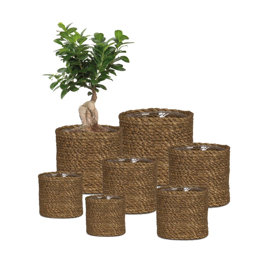 Wicker Seagrass Basket Planter, Brown, 26cm