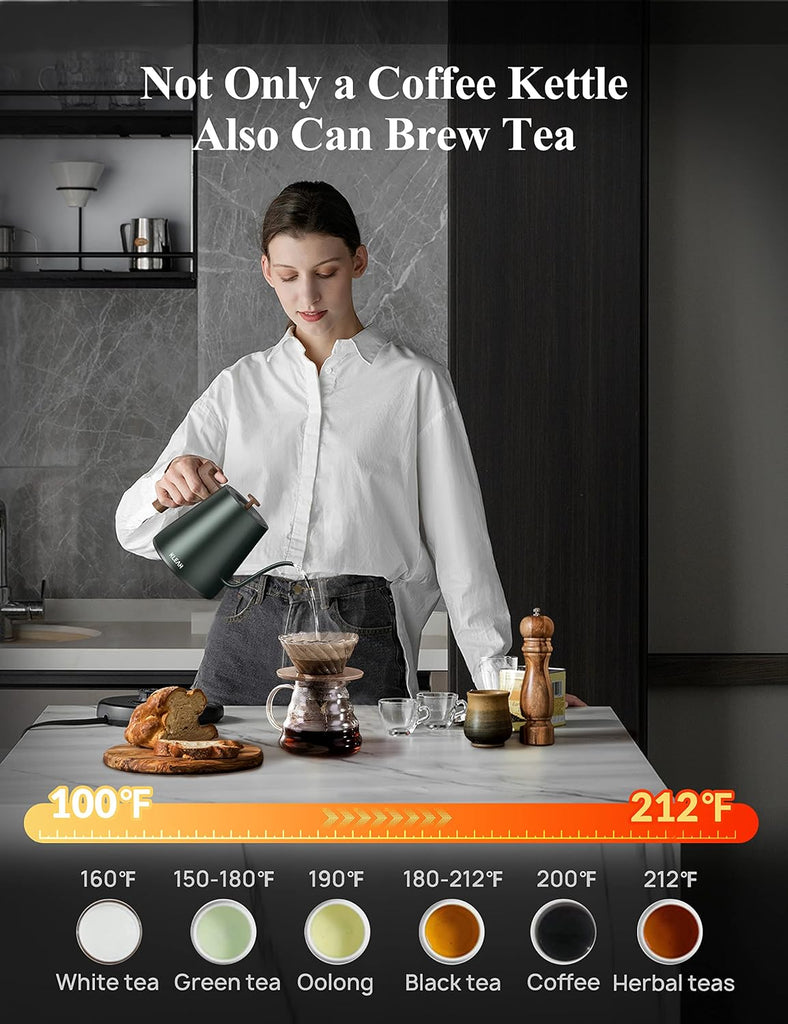 Gooseneck Electric Kettle with Temperature Control - 0.8L Automatic Shut Off Tea & Coffee Kettle, Hot Water Boiler