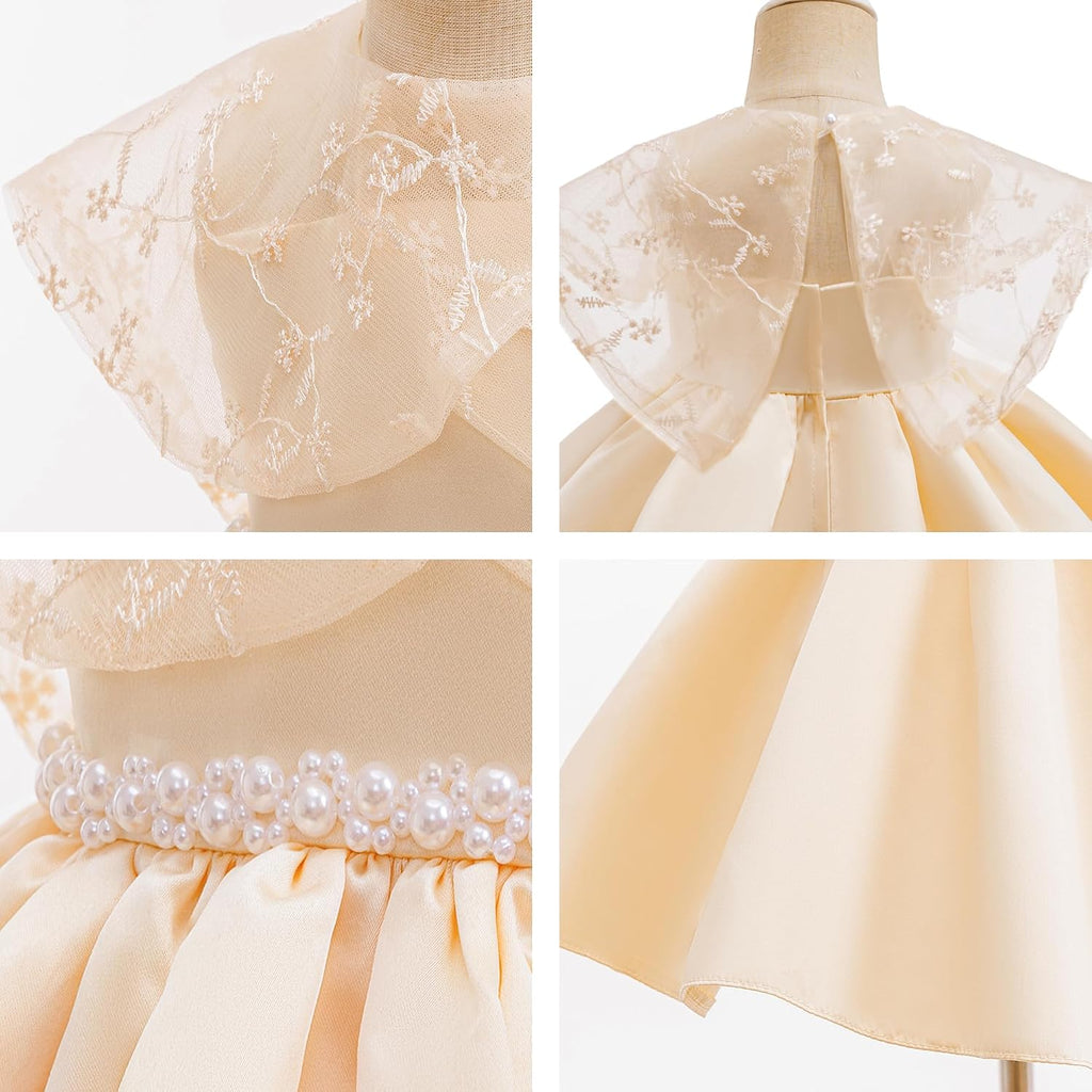 Toddler Baby Flower Girl Dress Wedding Pageant Birthday Party Lace Embroidered Formal Ball Gown Dresses
