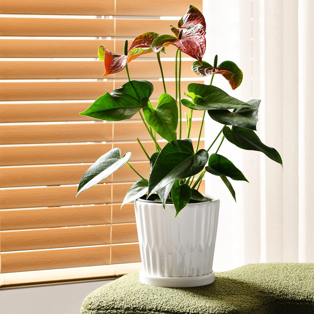 White 6 Inch Flower Pots for Plants, Ceramic Planter with Drainage Holes