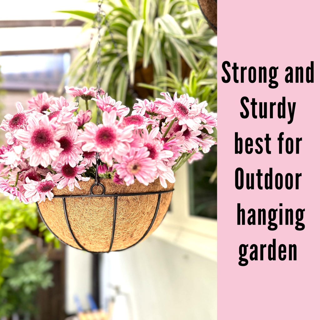 LaLaGreen Outdoor Hanging Baskets (10 in, 10 Pack) Coco Liner Flower Pots
