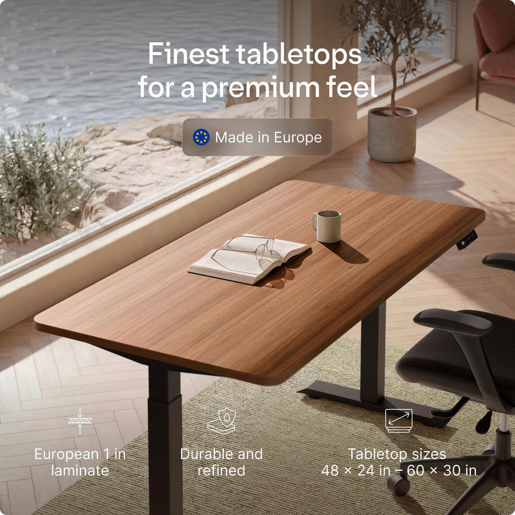 HomeOne Standing Desk 48x24 - Ergonomic Sit Stand Home Office Desk, Made in Europe, Electric Dual Motor Height