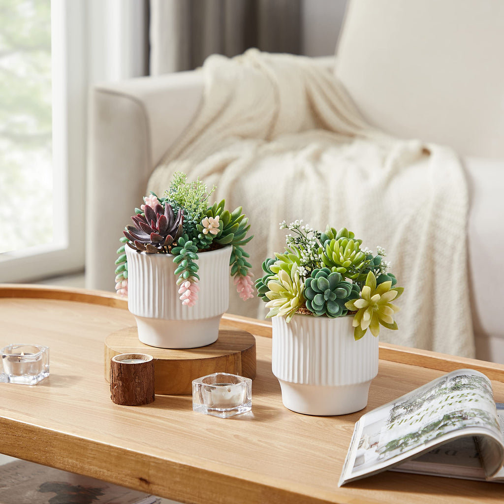 Artificial Succulent Plants, Faux Succulents Fake Plants Set of 2