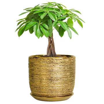 Ceramic Plant Pot 7 Inch, Ceramic Planter for Indoor Plants, Gold